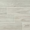 Msi Catalina Ice SAMPLE Polished Porcelain Floor And Wall Tile ZOR-PT-0395-SAM